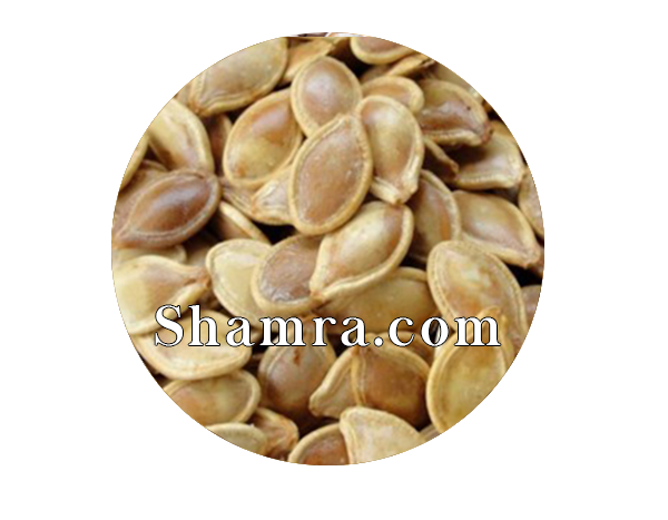 product #NUTSL003