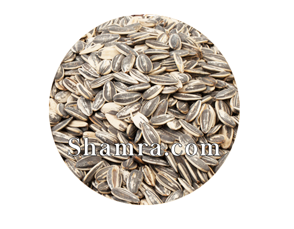 product #NUTSL019