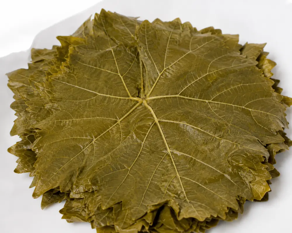grape-leaves